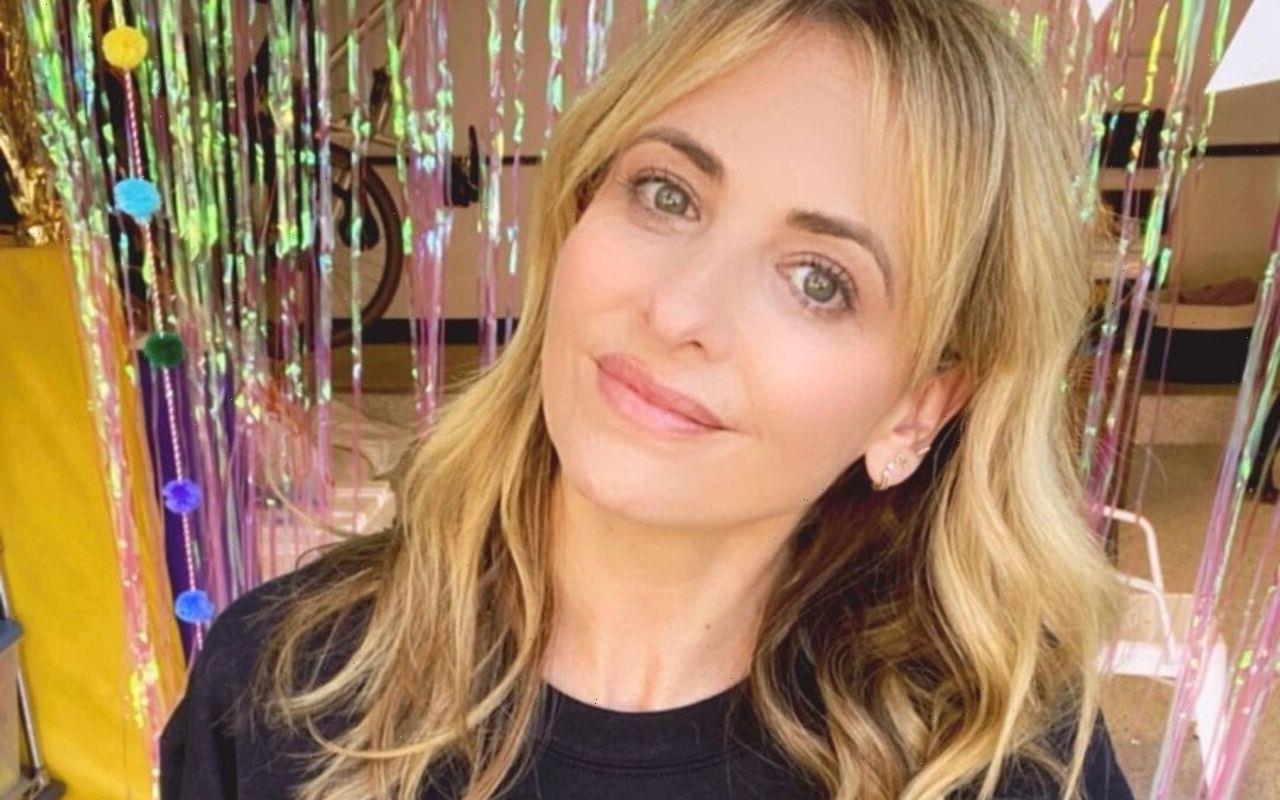 Gabby Petito's fiancé Brian Laundrie could have escaped US on jet after