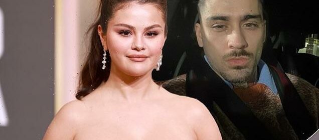 Selena Gomez And Zayn Malik Seen Holding Hands And Kissing On Date Hot Lifestyle News 