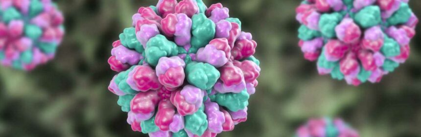 What Is Norovirus And How Long Does Sickness Bug Last The Sun The 